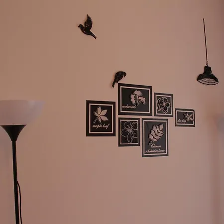 Beautiful Studio In Old Town Apartment *